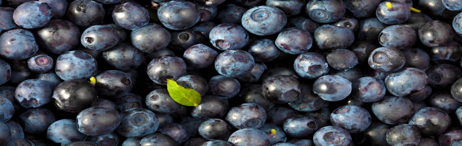 Path To Your Wellness