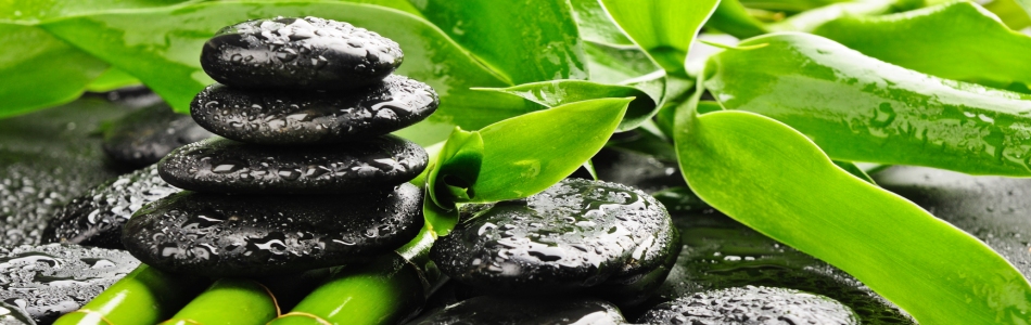 Path To Your Wellness