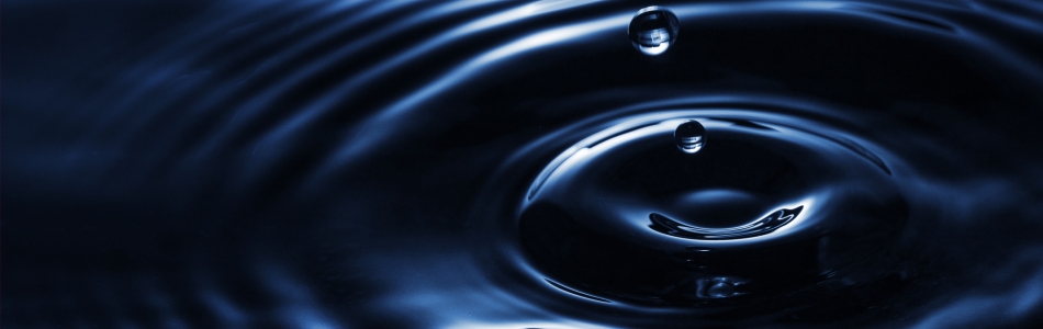 Path To Your Wellness